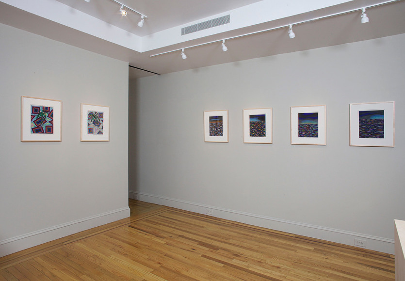 Installation view of Lucas Samaras Pastels at Craig F. Starr Gallery