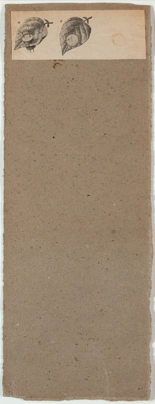 Robert Rauschenberg, Untitled [two leaves], c. 1952.