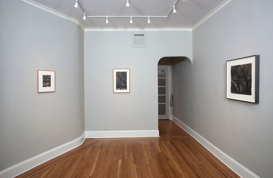 Installation view of Jasper Johns: Ink on Plastic at Craig F. Starr Gallery
