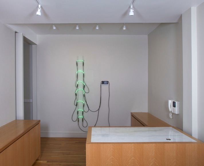 Installation view of Body Double: Jasper Johns / Bruce Nauman at Craig F. Starr Gallery