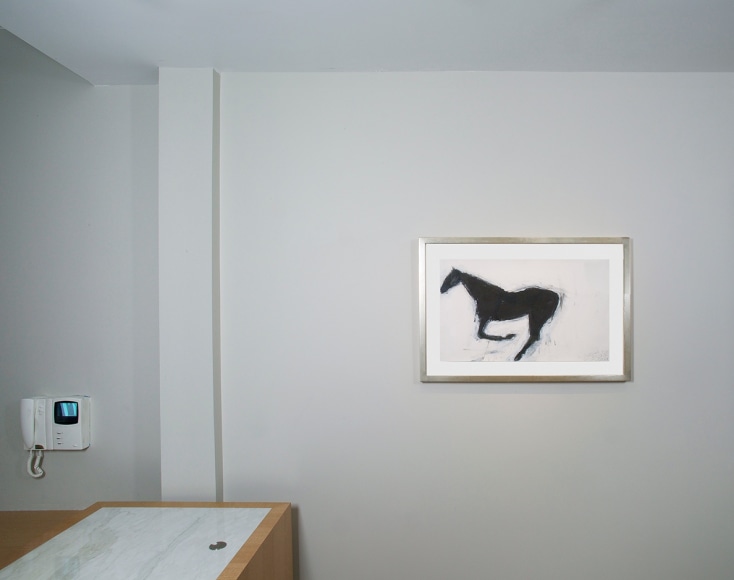 Installation view of Susan Rothenberg: First Horse at Craig F. Starr Gallery