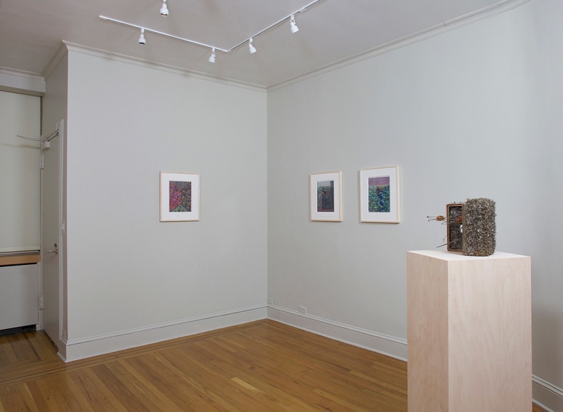 Installation view of Lucas Samaras Pastels at Craig F. Starr Gallery