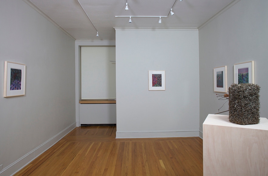 Installation view of Lucas Samaras Pastels at Craig F. Starr Gallery