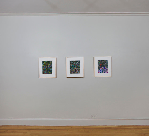 Installation view of Lucas Samaras Pastels at Craig F. Starr Gallery