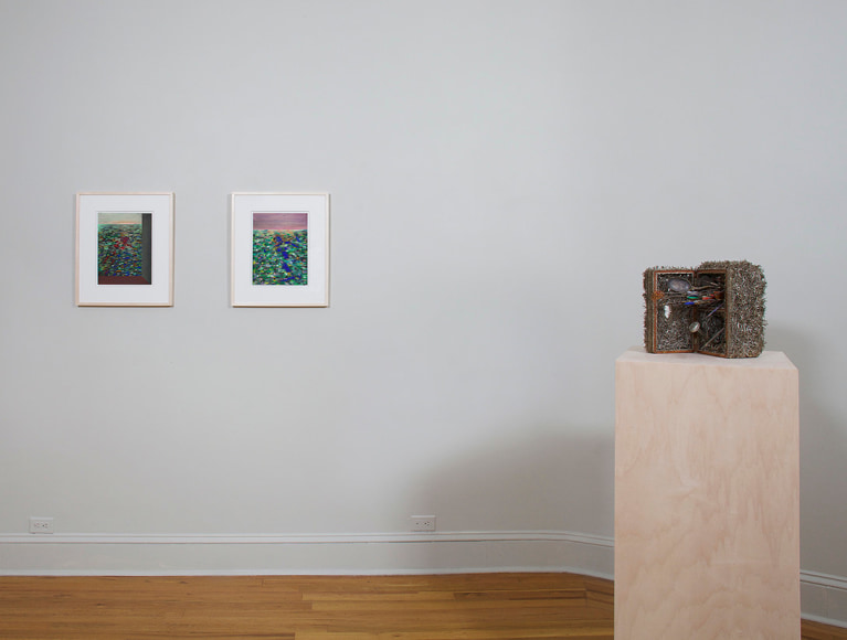 Installation view of Lucas Samaras Pastels at Craig F. Starr Gallery