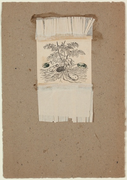 Robert Rauschenberg, Untitled [potatoes], c. 1952.