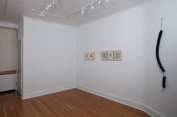 Installation view of Eva Hesse and Sol LeWitt at Craig F. Starr Gallery