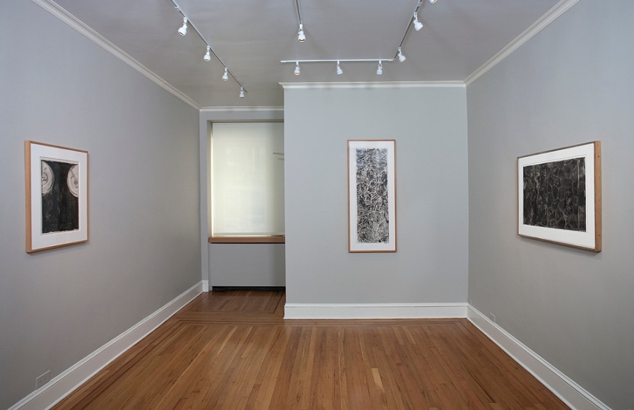Installation view of Jasper Johns: Ink on Plastic at Craig F. Starr Gallery
