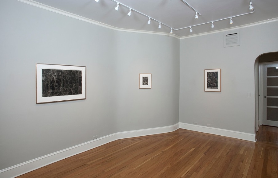 Installation view of Jasper Johns: Ink on Plastic at Craig F. Starr Gallery