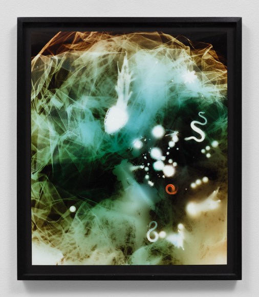 LIVING COLOR 7, 2011, Photogram