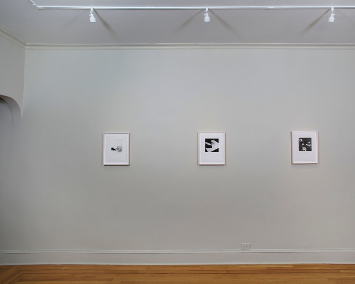 Installation view of Eureka: William Wegman Photographs 1970-1975 at Craig F. Starr Gallery