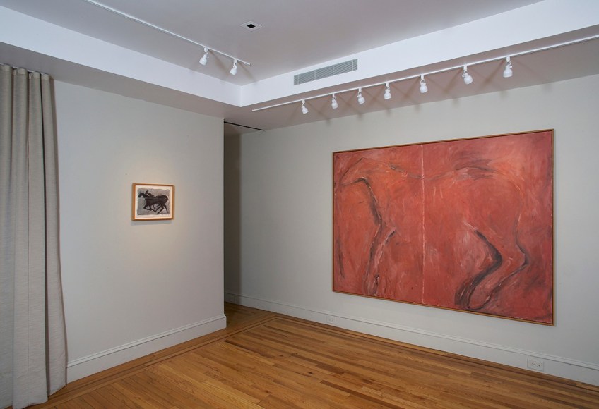 Installation view of Susan Rothenberg: First Horse at Craig F. Starr Gallery