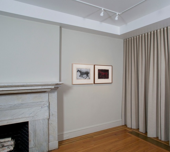 Installation view of Susan Rothenberg: First Horse at Craig F. Starr Gallery
