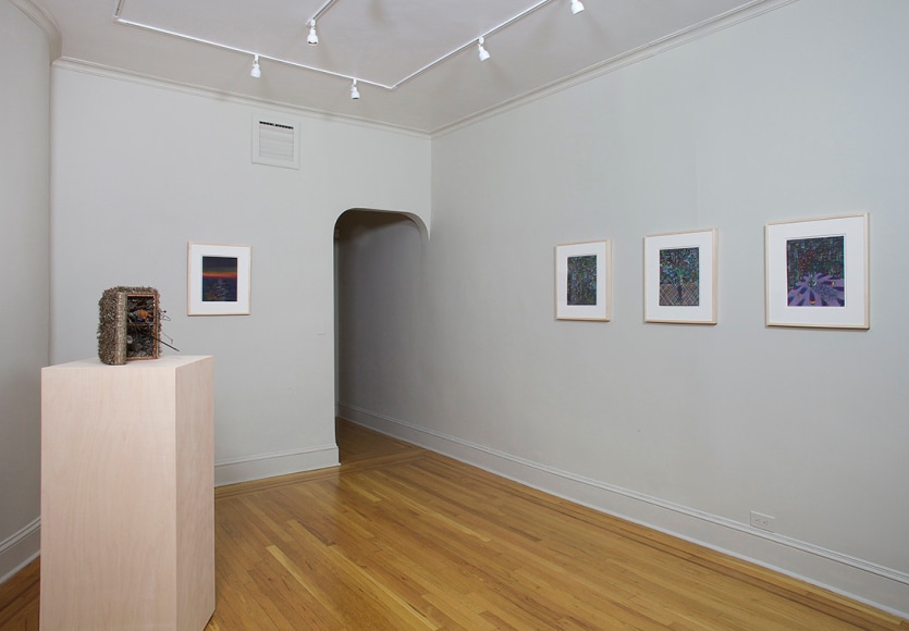 Installation view of Lucas Samaras Pastels at Craig F. Starr Gallery
