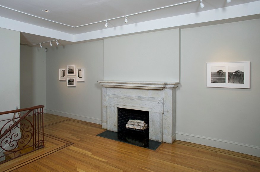 Installation view of Eureka: William Wegman Photographs 1970-1975 at Craig F. Starr Gallery