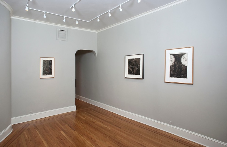 Installation view of Jasper Johns: Ink on Plastic at Craig F. Starr Gallery