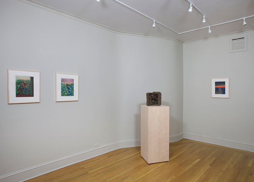 Installation view of Lucas Samaras Pastels at Craig F. Starr Gallery