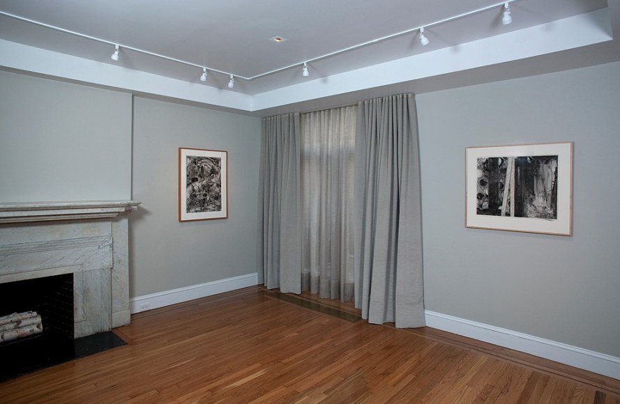 Installation view of Jasper Johns: Ink on Plastic at Craig F. Starr Gallery