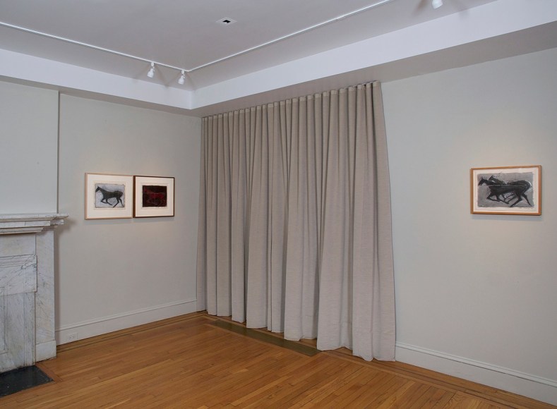 Installation view of Susan Rothenberg: First Horse at Craig F. Starr Gallery