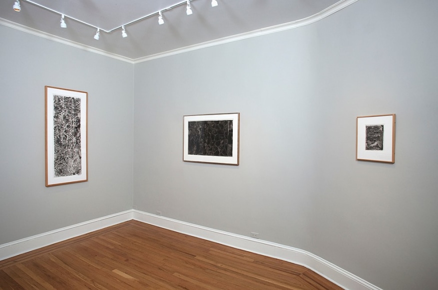 Installation view of Jasper Johns: Ink on Plastic at Craig F. Starr Gallery