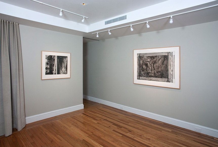 Installation view of Jasper Johns: Ink on Plastic at Craig F. Starr Gallery