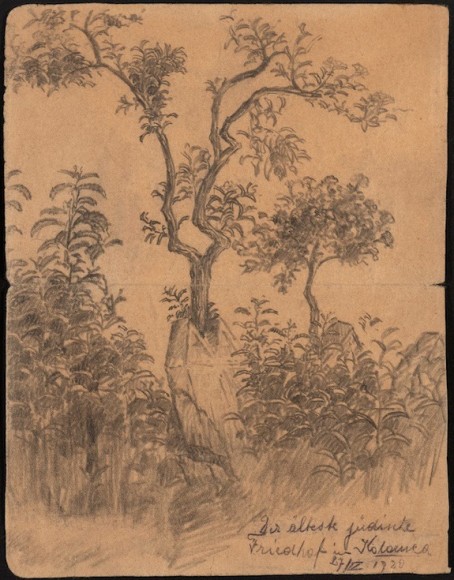 Chaim Gross, Jewish Cemetery in Kolomyia, 1920