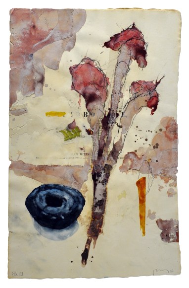 NUGENT-Bob_Flora Brasiliensis #121_19.5x12.37