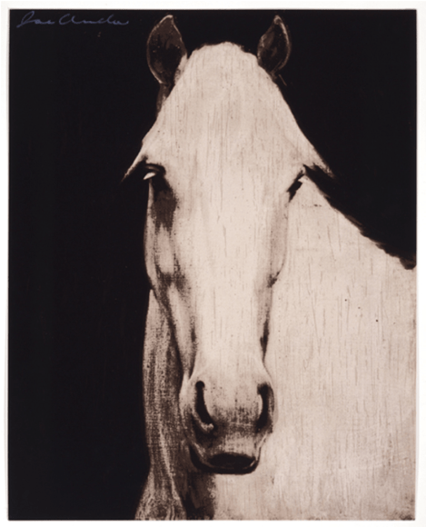 ANDOE-Joe_Four Horses_2_12-color silkscreens_24x19-sold