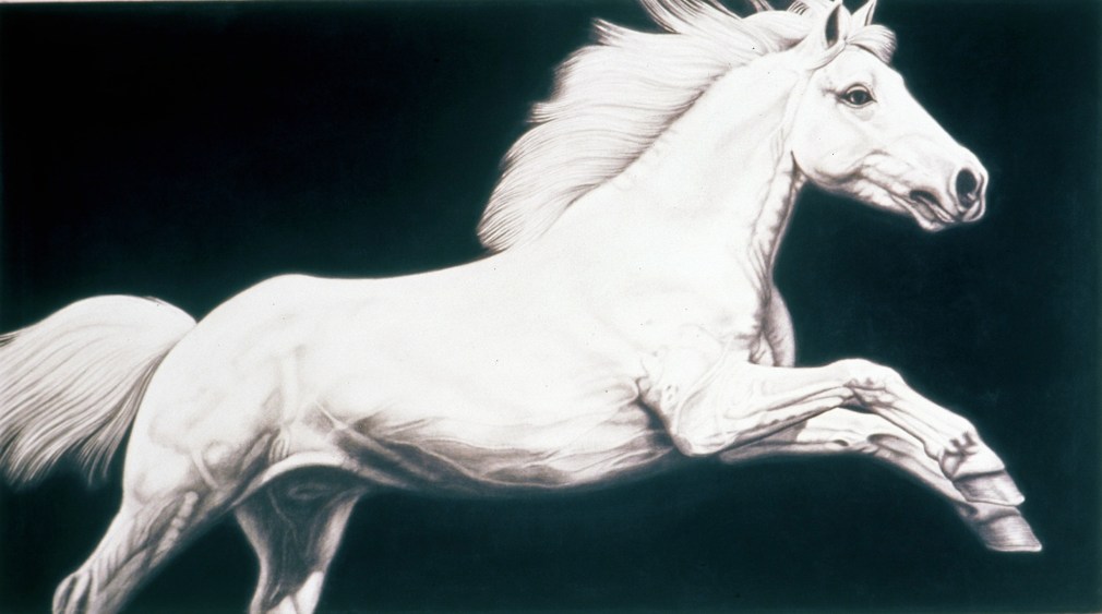 PICCILLO-Joseph_Horse_2-40x72