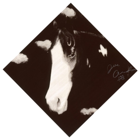 ANDOE-Joe_Two Horses, 1_12-color silkscreen_43 inches point-to-point