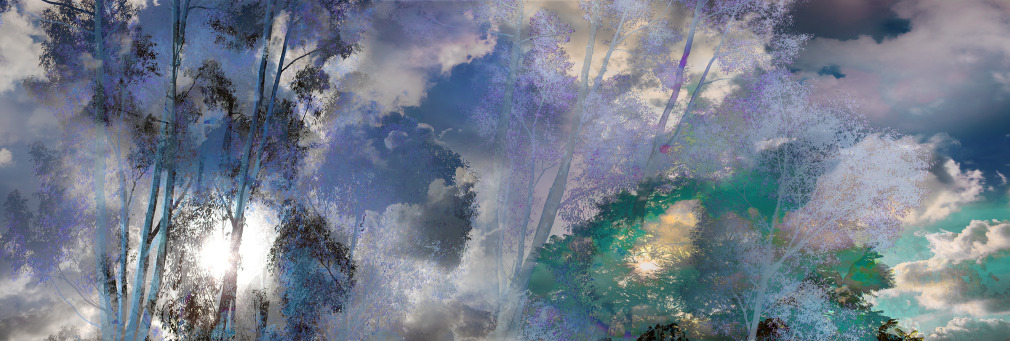 PAXTON_Eucalyptus-3641_40x72_sW