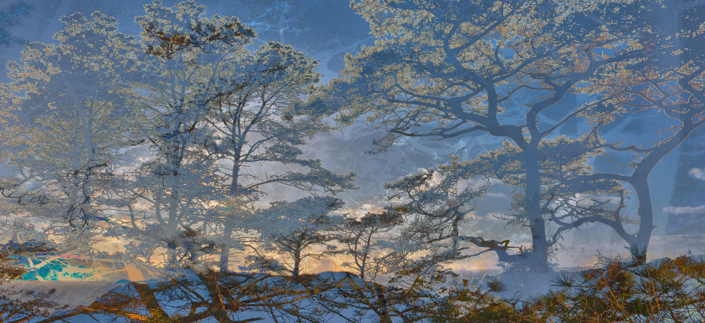 14__PAXTON_Torrey-Pines-4909_44x96_sW