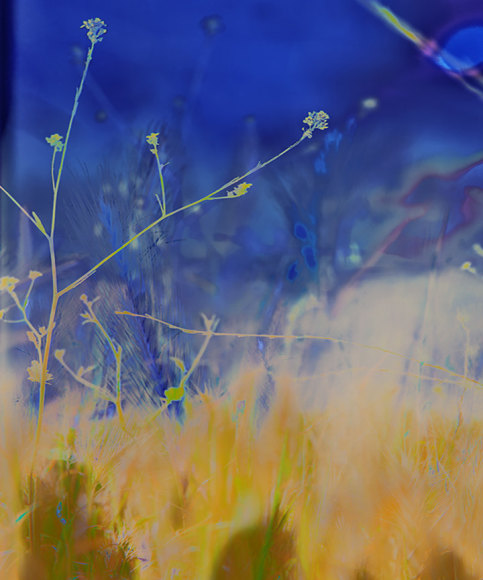 JPAXTON_8920-2-3m_V1_RT5_s