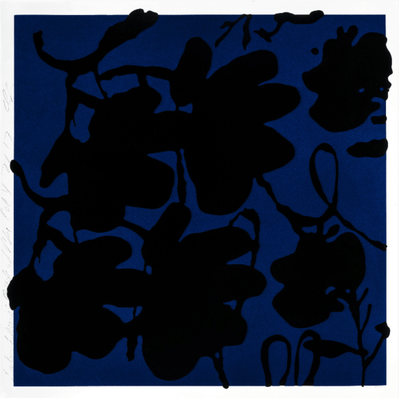 SULTAN-Donald_Lantern Flowers, Black and Blue, Oct 4, 2017_silkscreen with enamel inks and flocking on 4-ply museum board_58x58_ed30