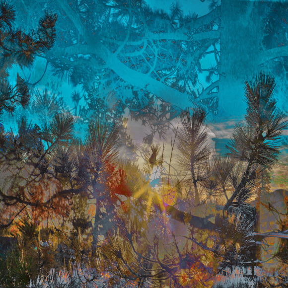 09__PAXTON_Big-Bear-4175_48x48_sW