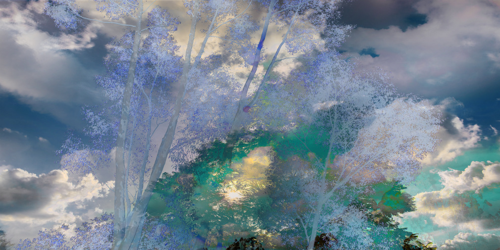 08_JPAXTON_Blue-Eucalyptus_RT10_36x72_s