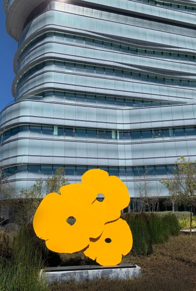 SULTAN_Poppies_sculpture_13x10_72dpi_s