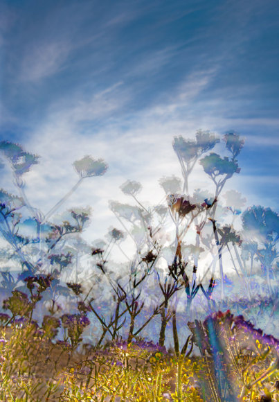 JPAXTON_23_9319-20-1-2-m_V1_RT2_23x16_s