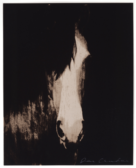 ANDOE-Joe_Four Horses_3_13-color silkscreens_24x19-sold