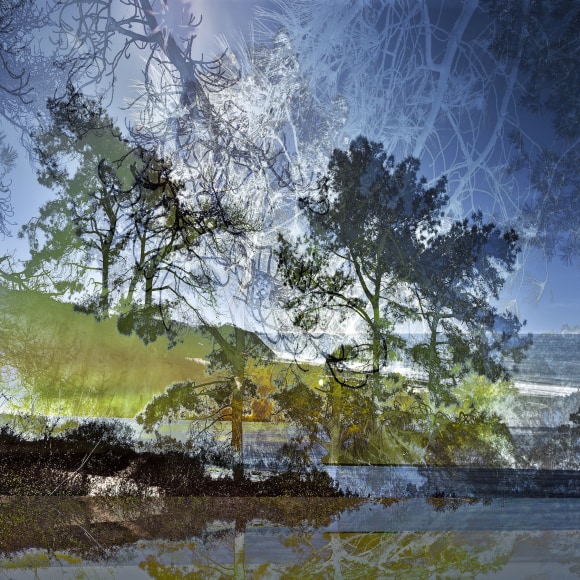 12__PAXTON_DAR-Trail-5298_48x48_sW