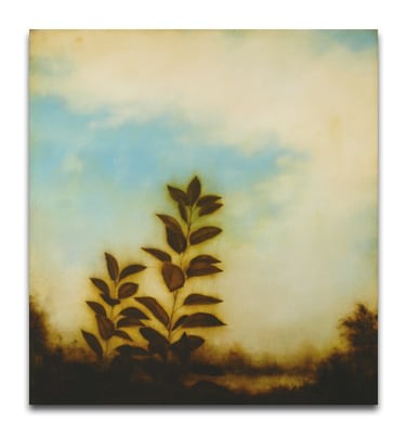 BRAD DURHAM_Changing-Memory_41x38