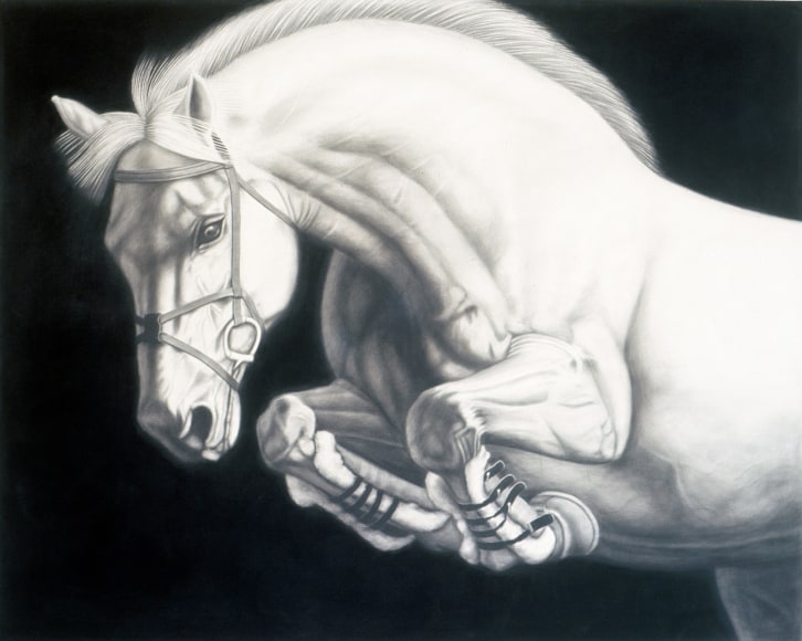 PICCILLO-Joseph_Horse_10_48x60