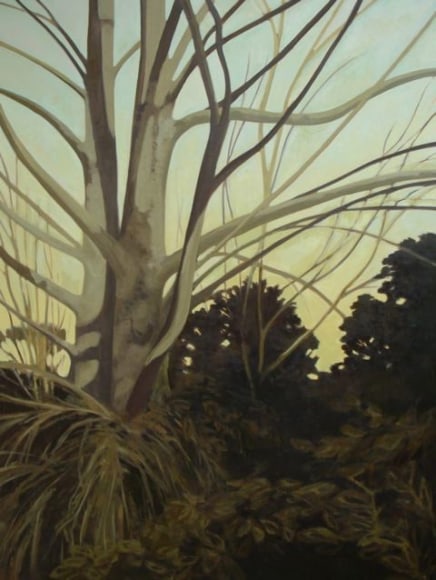 Strasburg-Nicole_Sycamore_oil on panel_48x36