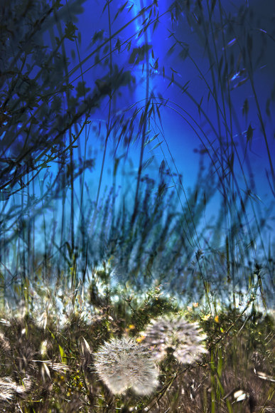 JPAXTON_16_9067-8-9-70m_RT1_15x10_72dpi_s