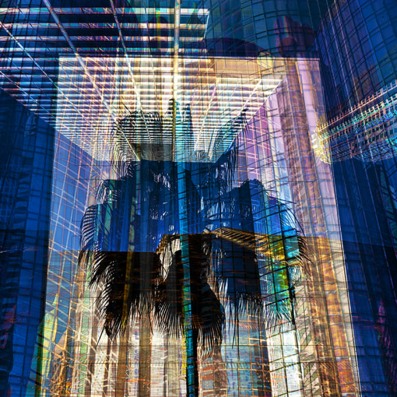 PAXTON-J_LA-Palm_40x40_s