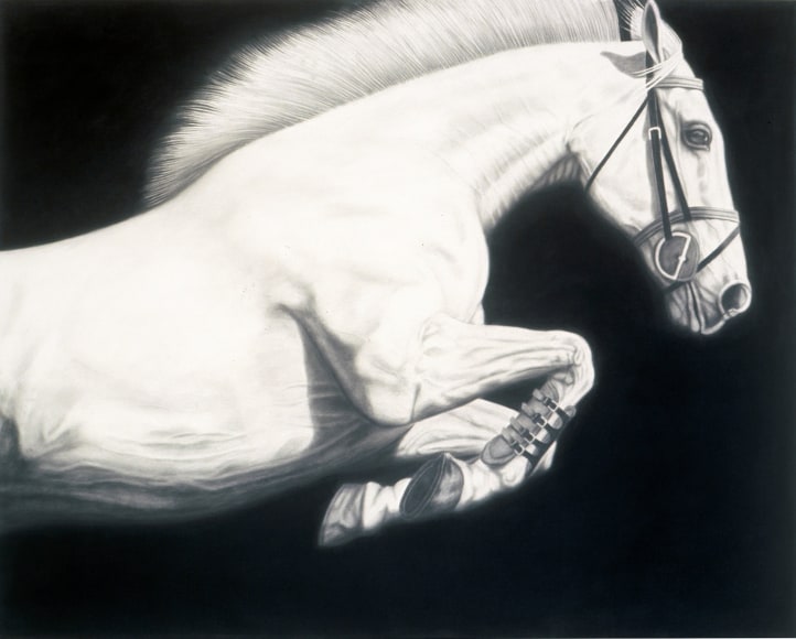 PICCILLO-Joseph_Horse_13_48x60