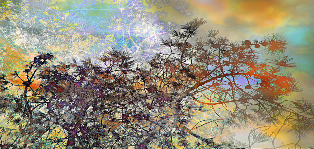 JPAXTON_25_CrestWay_3155-86-9-201m_V2_RT2_s