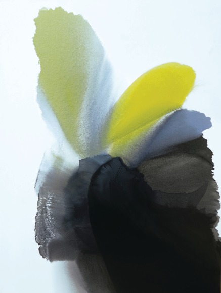 BASSMI_Isness-165_48x36