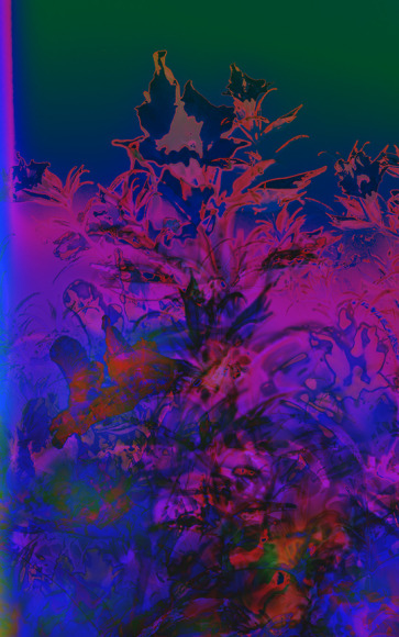 PAXTON-J_Westridge-Canyon-8967_48x30_s