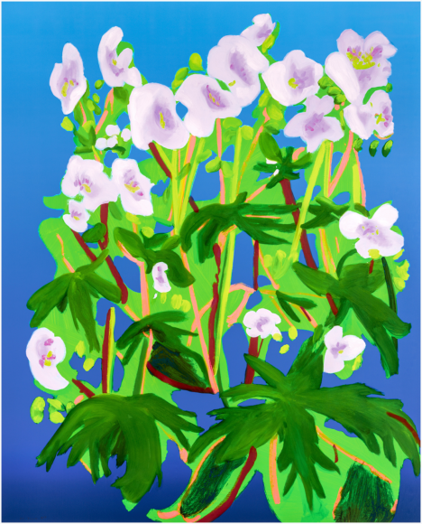 WITTENBERG-Nicole_Sweet William, 1_archival pigment ink print, hand varnished on Innova Etching Cotton Rag 315 gsm_52x42_ed15